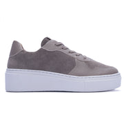Gris