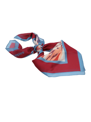 Pañuelos