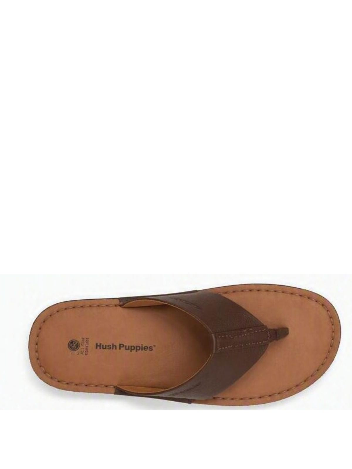 Sandalias Noe Hombre