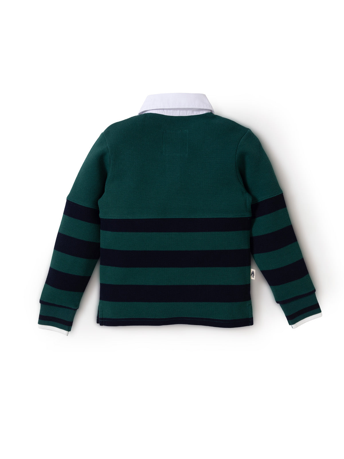 Polo Chester Algodón Nino
