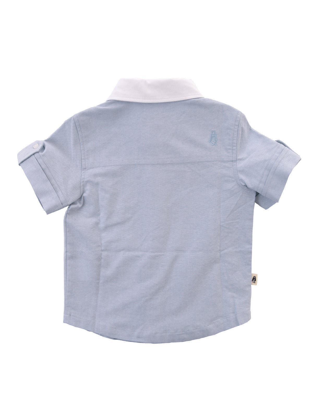 Camisa Coburgo Algodón Nino
