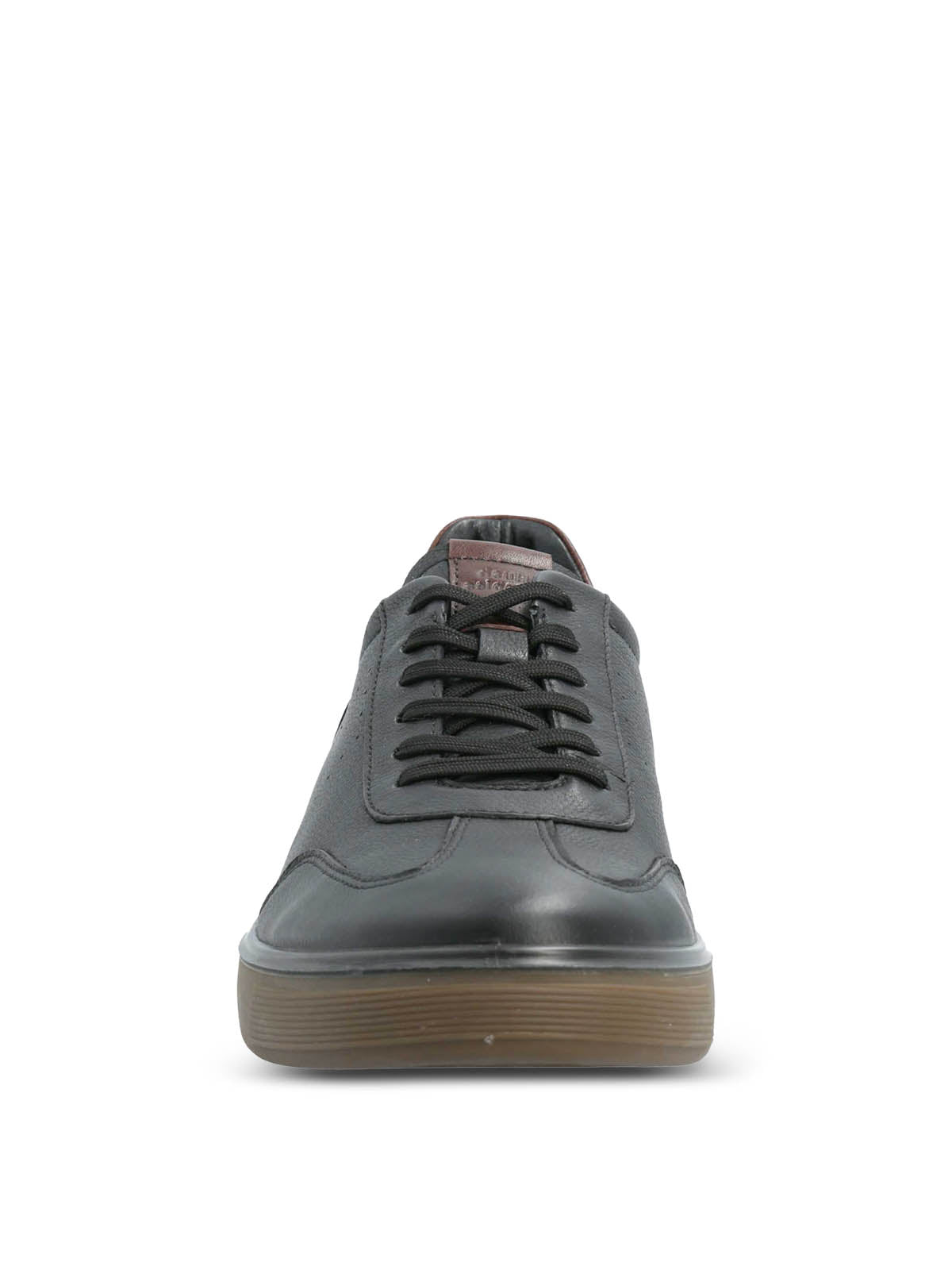 Zapatilla Bloor Cuero Hombre