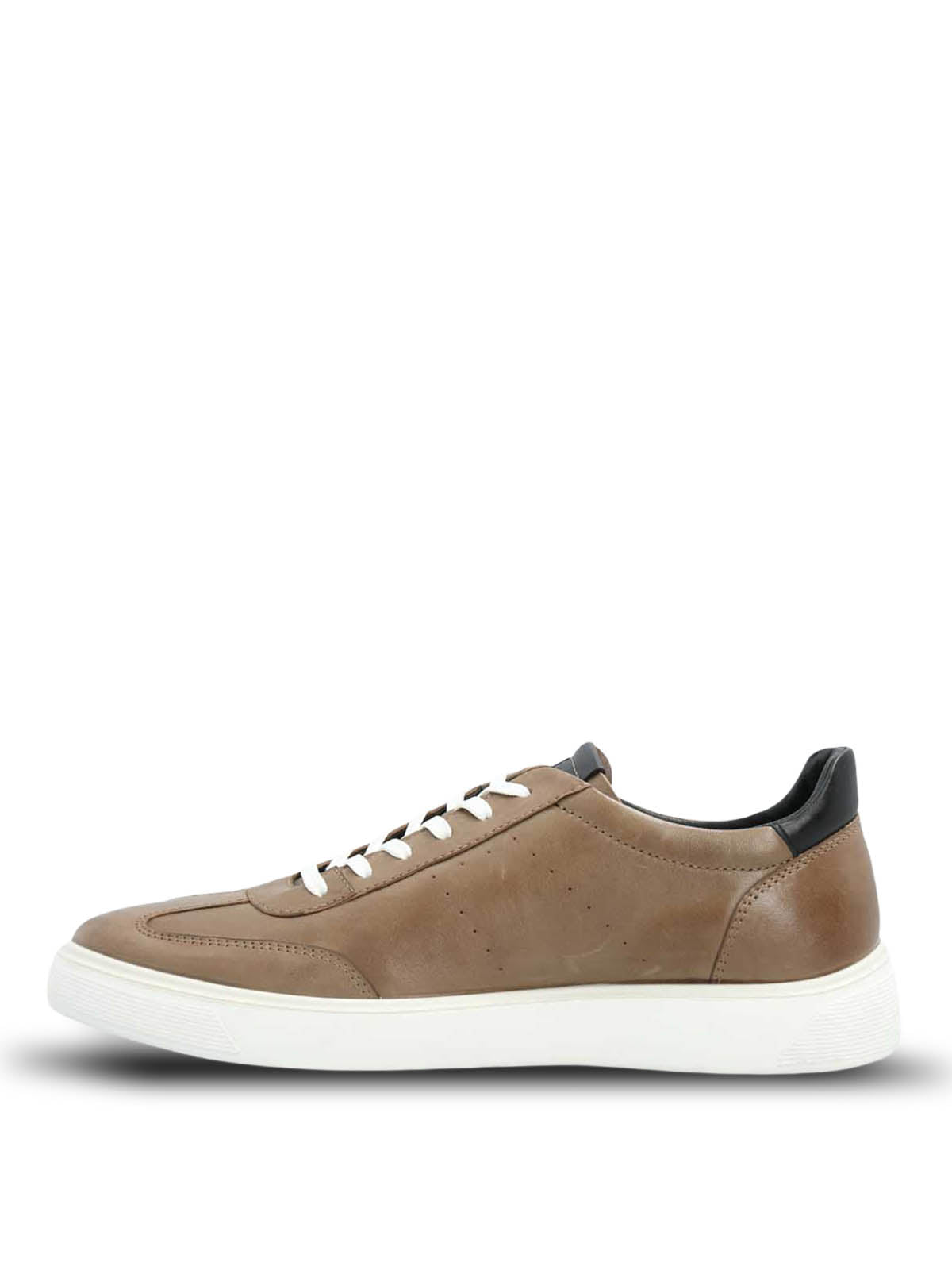 Zapatilla Bloor Cuero Hombre
