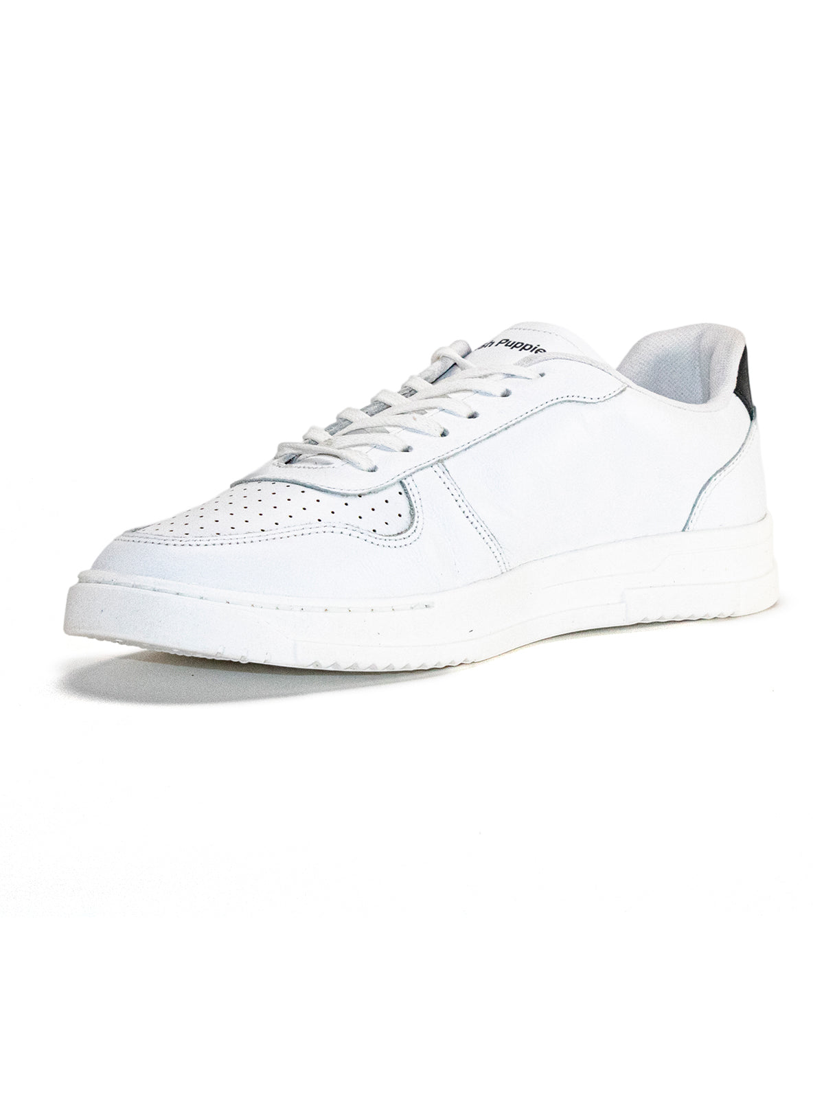 Zapatilla Phillippe Cuero Hombre