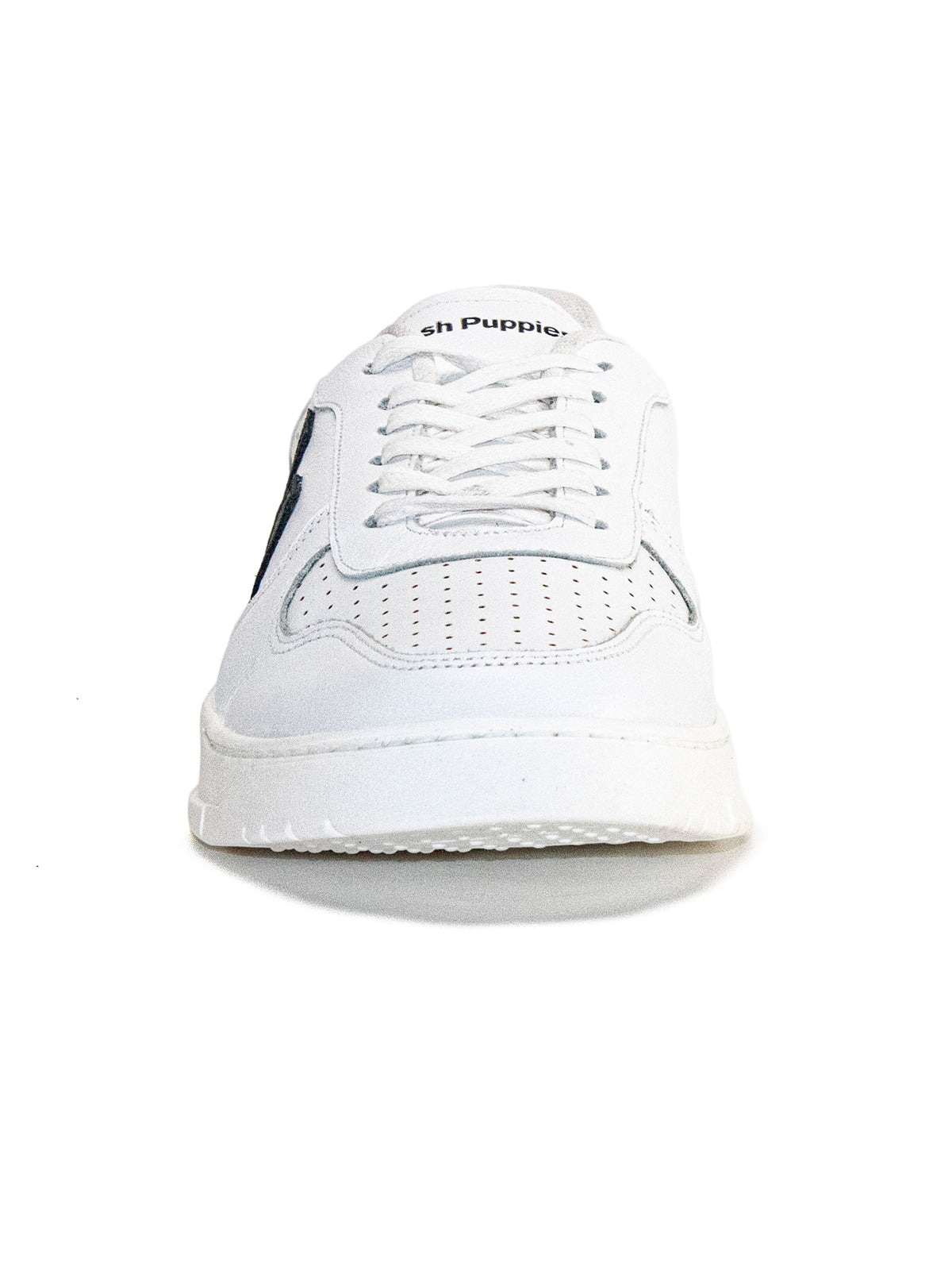 Zapatilla Phillippe Cuero Hombre