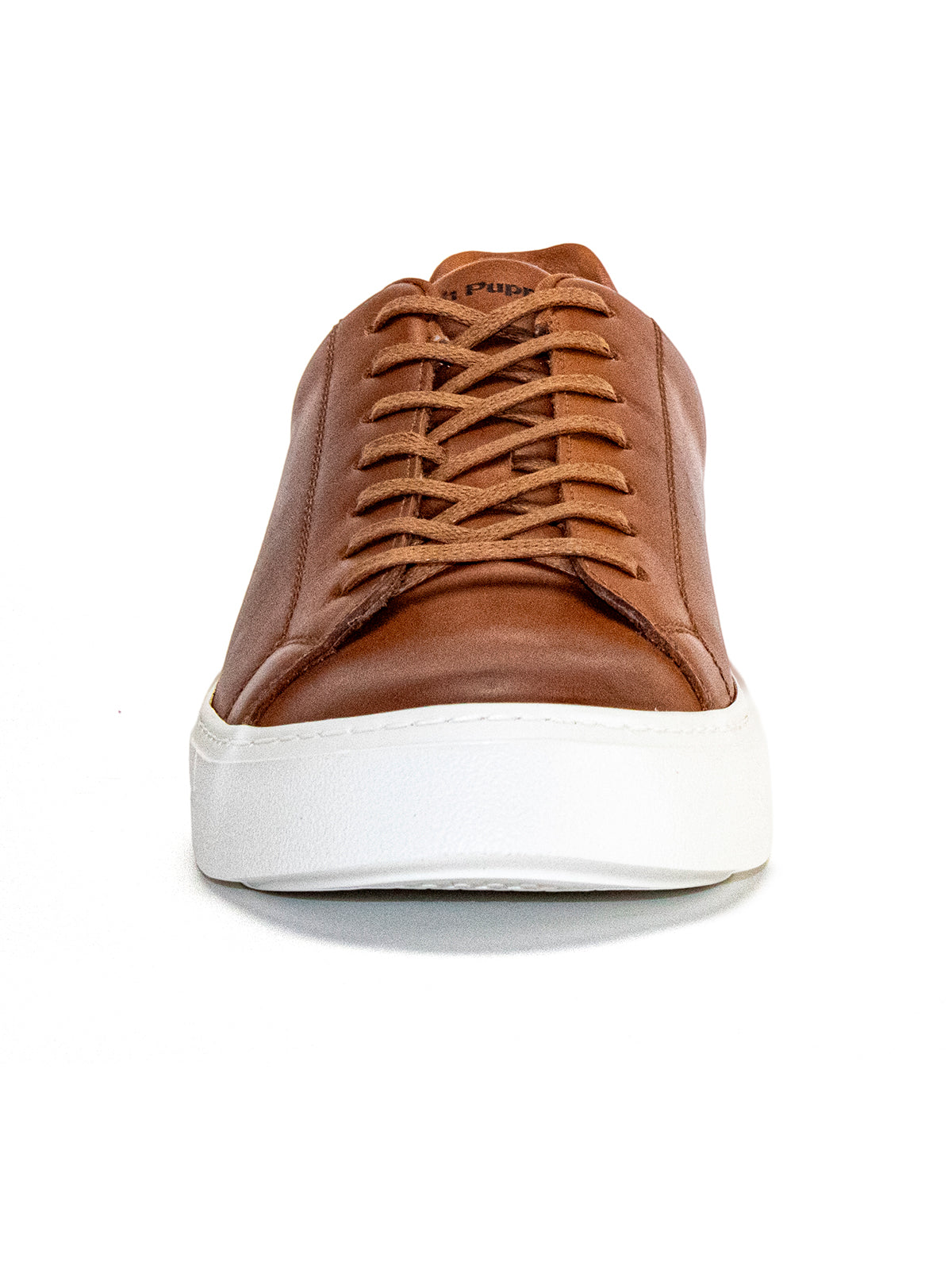 Zapatilla Boston I Cuero Hombre