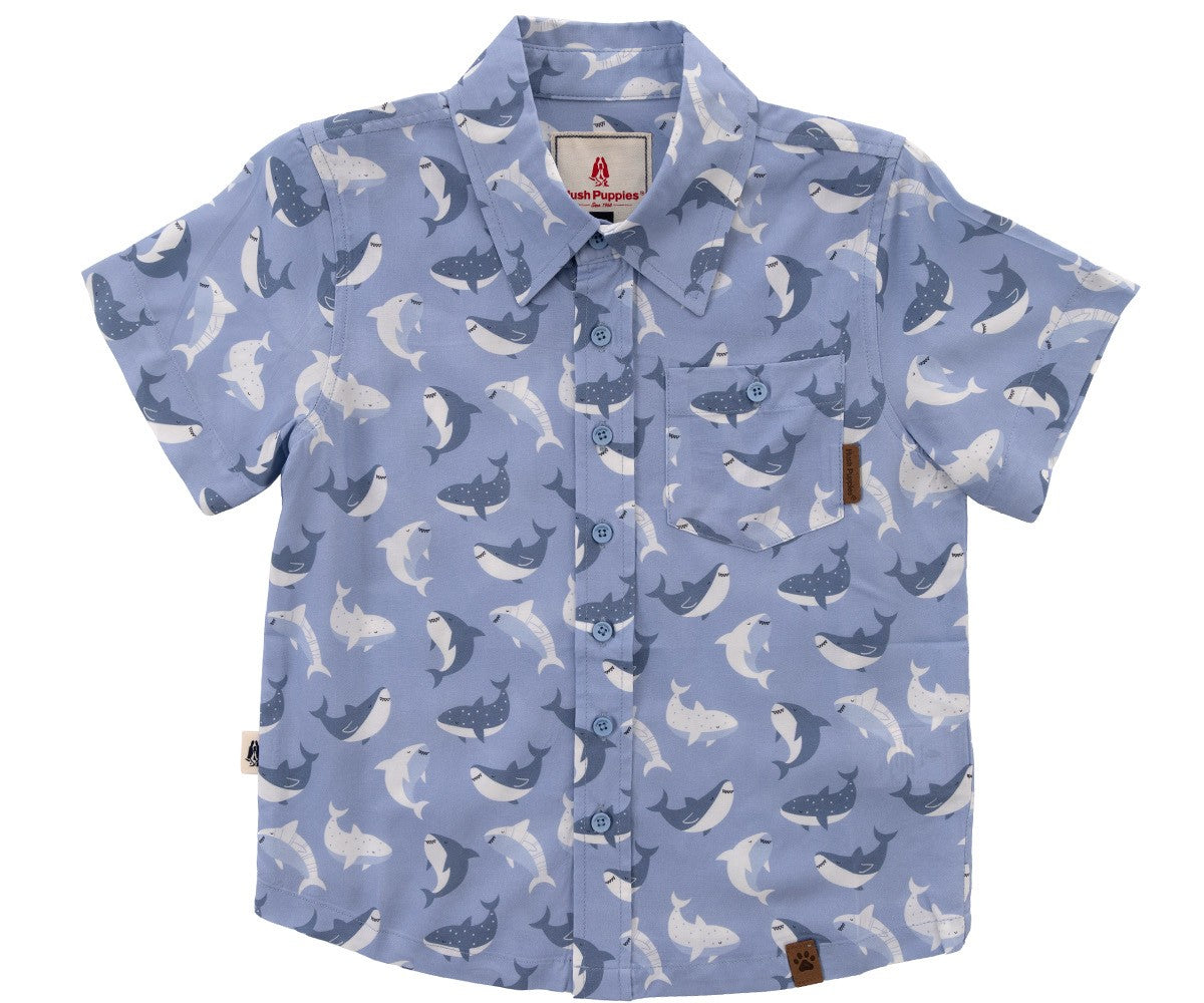 Camisas